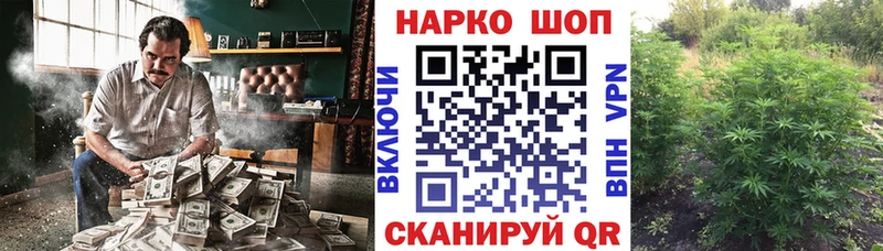 Где продают наркотики Новороссийск Alpha PVP 
