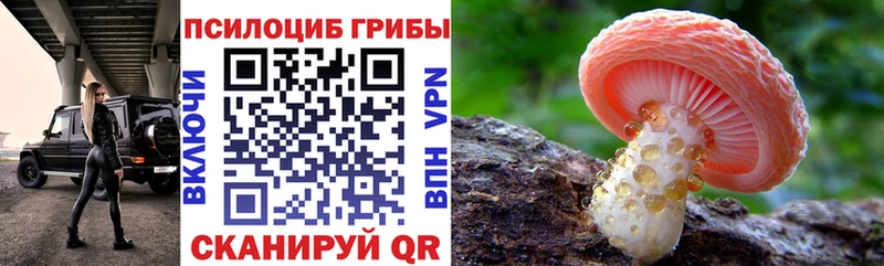 Псилоцибиновые грибы мухоморы  Новороссийск 
